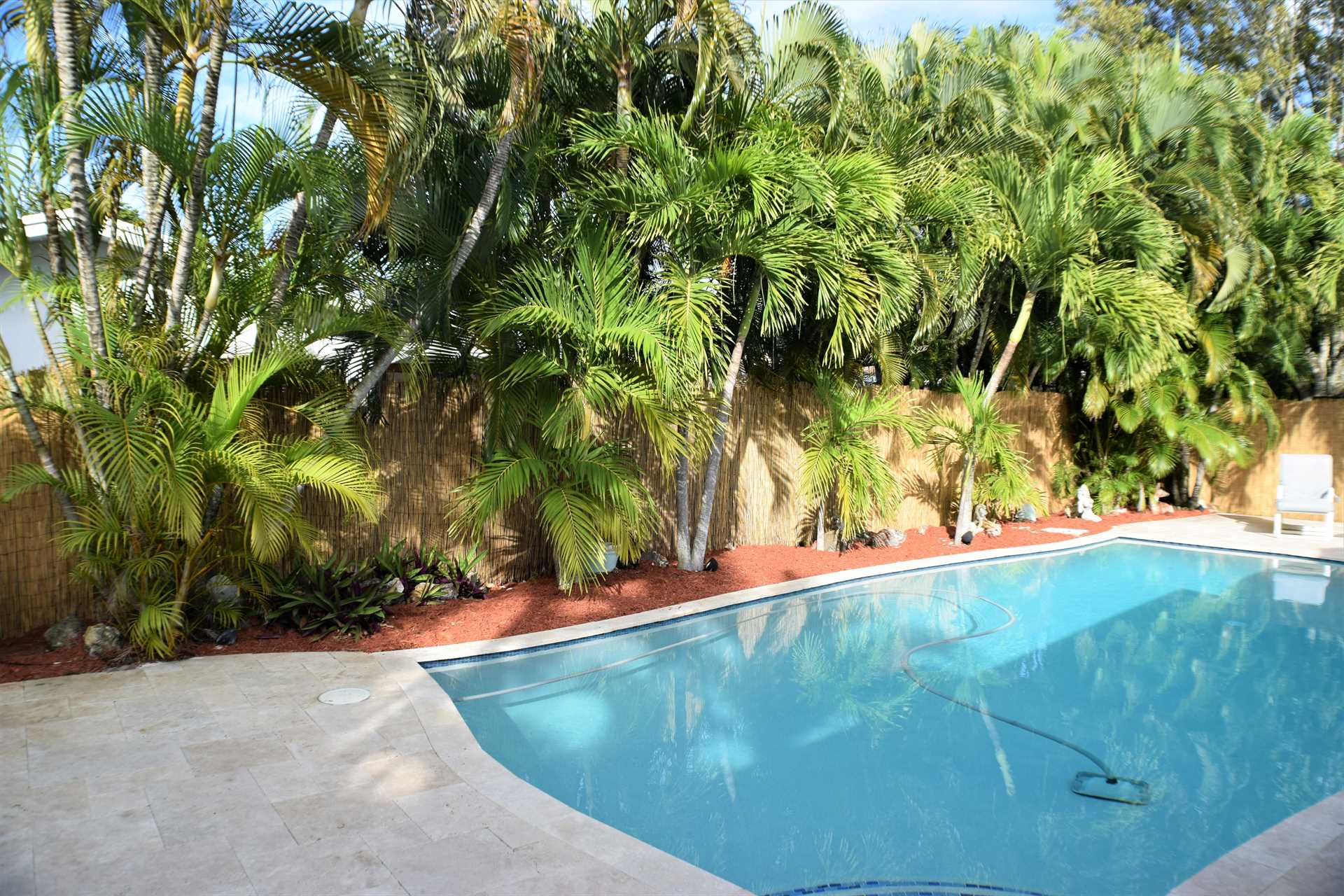 Pool deck is surrounded by six foot privacy fence and lush f