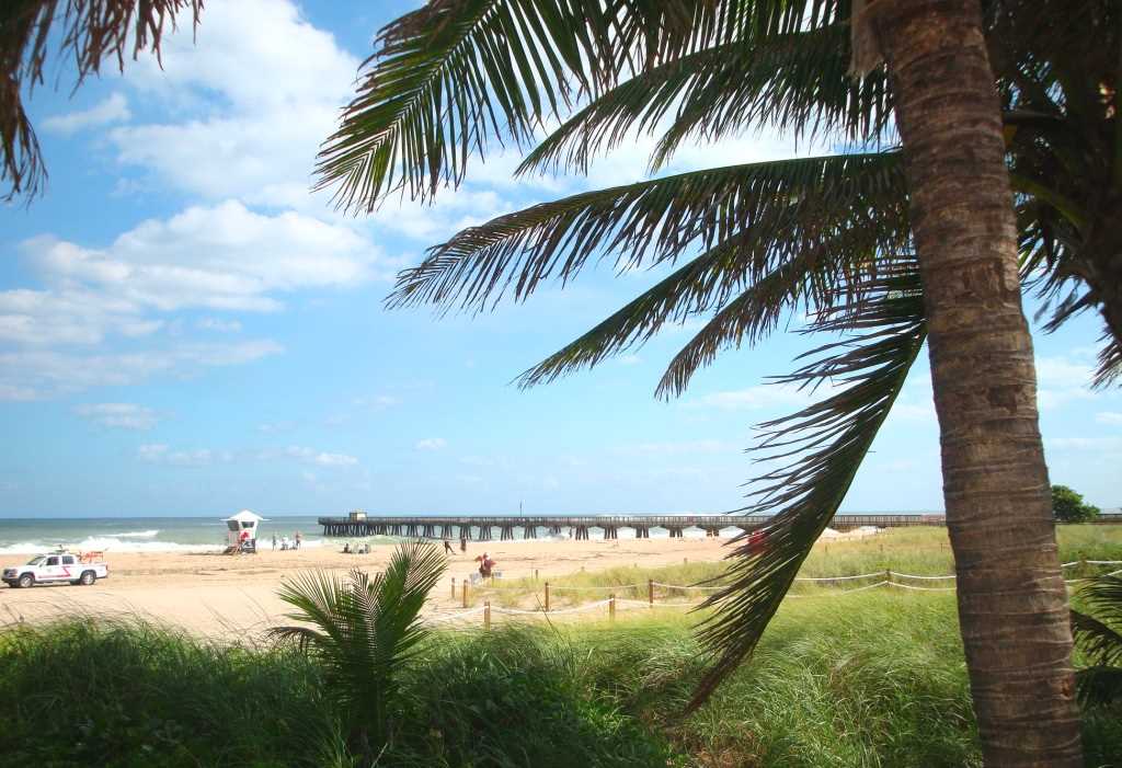 Swaying palms and seagrass dunes line the beach.