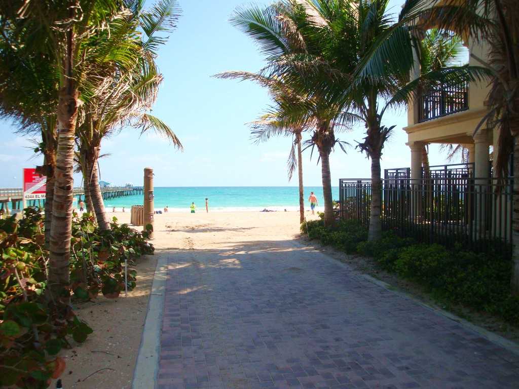 One of the many beach entrances is shaded by swaying palms.